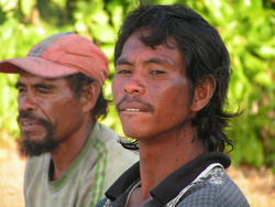 <strong>Lire la suite</strong><br>Moluquois Moluquois